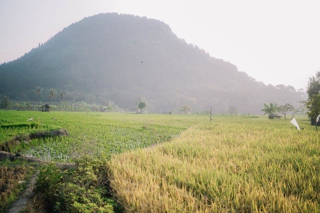 Pemandangan Desa Cikalahang